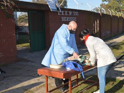 El servicio de Veterinaria Móvil de Berisso realizó castraciones de perros y gatos