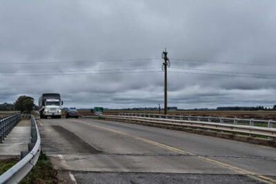 Pehuajó: Juntos por el Cambio pide pasos bajo a nivel en rutas para carpinchos