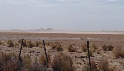 Patagones: Por la sequía declaran en Emergencia y Desastre Agropecuario a la región