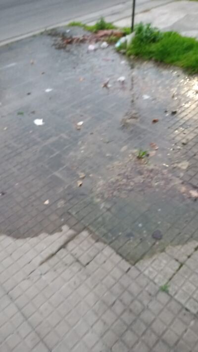 La Plata: Vecinos reclaman el arreglo de una pérdida de agua de más de 6 meses