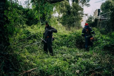 Mar del Plata: La Comuna limpió y acondicionó un terreno abandonado en La Florida
