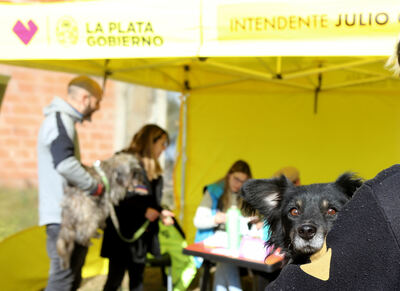 La Plata: El programa "Barrio x Barrio" llega a Los Hornos
