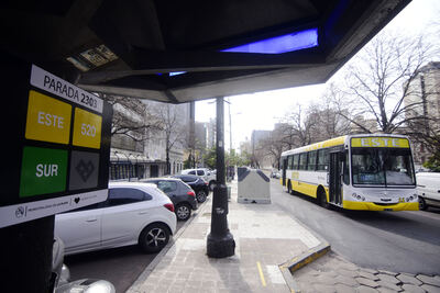 La Plata: Lanzan una web para que los usuarios den su opinión sobre el transporte público