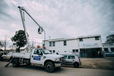 Mar del Plata: El Municipio avanza con el acondicionamiento de "Corredores Escolares Seguros"