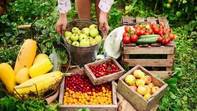 Abrió la convocatoria al "Programa de fomento a la fruticultura bonaerense"