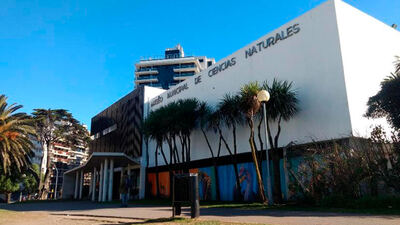 Mar del Plata: Reconocen internacionalmente a los servicios educativos de los Museos Municipales