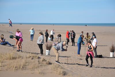 Monte Hermoso: Se llevó adelante la plantación de esquejes de tamariscos en la bajada náutica