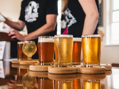 Mar del Plata: Convocan a empresas locales para participar del Festival Internacional “Cervezar”