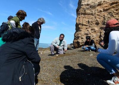 Mar del Plata: Se suma un nuevo hallazgo para el patrimonio paleontológico de la ciudad