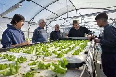 Mar del Plata: Alumnos de la ESMET continúan con el desarrollo de proyectos productivos