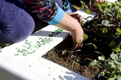 La Plata: El programa “Huerta de casa” llegó a la localidad de Hernández