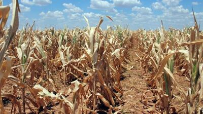 Tandil: Confirmaron la declaración de Emergencia Agropecuaria en el Partido