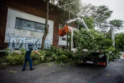 Mar del Plata: El Municipio realizó tareas de limpieza en la zona del Distrito Tecnológico