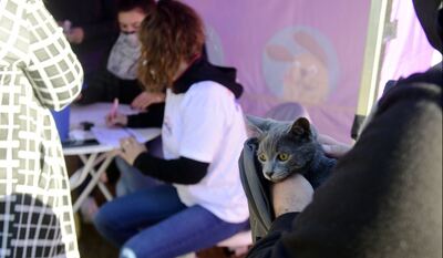 La Plata: Se realizarán jornadas gratuitas de atención veterinaria en comedores y merenderos barriales