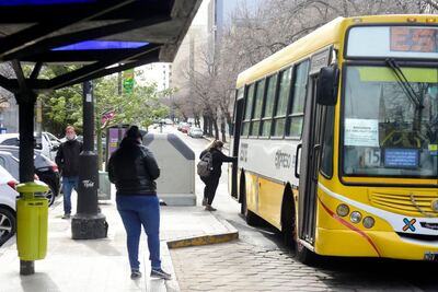 La Plata: El transporte público ya funciona con frecuencia de verano