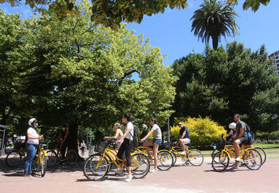 La Plata: El programa "Bicitando la Ciudad" suma un circuito especial en Los Hornos