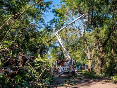 Junín: Desarrollan trabajos de mantenimiento de calles y poda en Rincón del Cielo