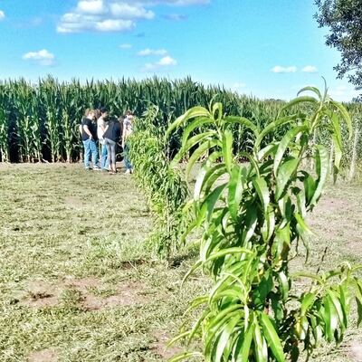 Tandil: La Provincia y el Municipio ampliarán el alcance del programa de fomento a la fruticultura