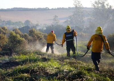 Mar del Plata: El Municipio advierte por altas probabilidades de generación de incendios forestales