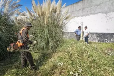 Mar del Plata: El Municipio retiró más de 85 toneladas de residuos en terrenos privados