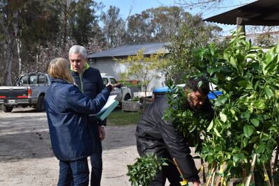 Berisso: Se llevó a cabo la entrega de árboles frutales a productores agroecológicos