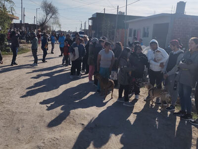 Berisso: Se aplicaron más de 500 vacunas antirrábicas durante la jornada veterinaria en El Carmen