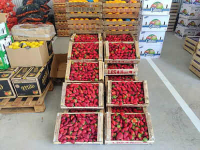 Pehuajó: El Mercado Concentrador Frutihortícola abrió sus puertas al público