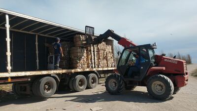 Monte Hermoso: En lo que va de 2023, el complejo GIRSU recuperó 307 toneladas de residuos