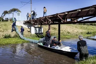 Mar del Plata: El Municipio instaló una nueva biobarda para el lago de Parque Camet