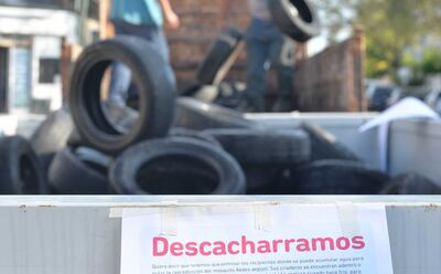 Bahía Blanca: Realizarán tareas de prevención de Dengue en el barrio Latino
