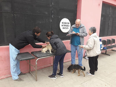 Berisso: Realizarán una jornada de vacunación antirrábica en barrio UDOCBA