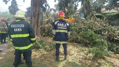 Bahía Blanca: La Provincia intensifica la asistencia a los damnificados por el temporal