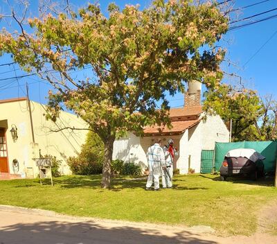 Saladillo: Confirman un nuevo caso de Dengue importado