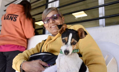 Almirante Brown: Durante enero Zoonosis atendió a más de 400 animales diarios