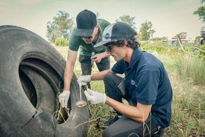 Mar del Plata: La Comuna intensifica los controles para evitar la propagación del dengue