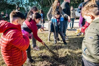 Mar del Plata: En el 2023 se plantaron más de 1300 árboles en distintos barrios de la ciudad