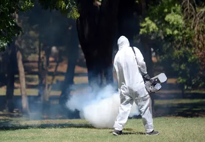 La Plata: El Municipio avanza con la fumigación en distintos puntos de la ciudad