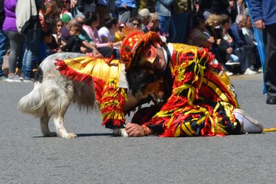 Necochea: La Comuna organiza los carnavales de febrero en la Plaza Dardo Rocha