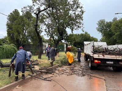 Las tormentas causaron destrozos en Trenque Lauquen y Florentino Ameghino