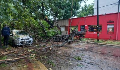 La Plata: Habilitaron más de 20 centros de evacuación en distintas zonas del distrito