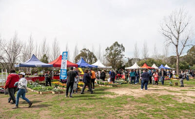 Almirante Brown: Este mes continúan los precios accesibles con el "Circuito de Ahorro Brown”