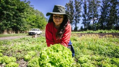 Mar del Plata: El Municipio acompaña la creación de una cooperativa de productoras frutihortícolas de Batán