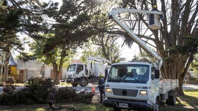 Mar del Plata: El EMSUR realizó tareas de acondicionamiento en la plaza del barrio Félix U Camet