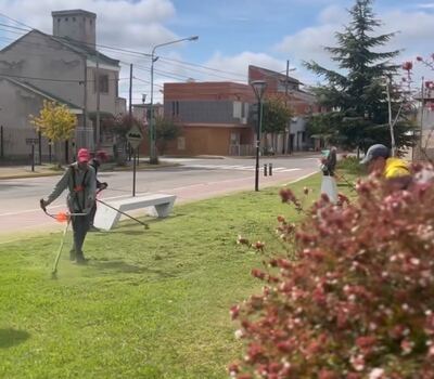Ensenada: Realizaron trabajos de mantenimiento en el Parque Almirante Brown
