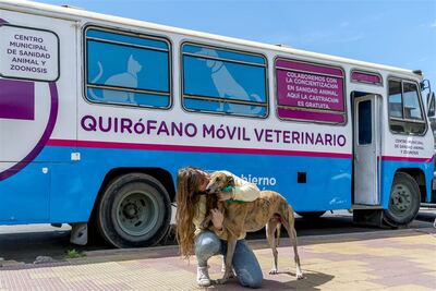 Junín: Continúa la campaña de vacunación antirrábica en el distrito