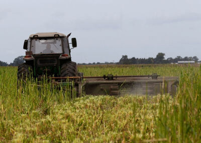 La Provincia lanzó nuevas medidas para el sector agropecuario
