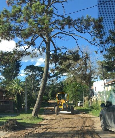 Villa Gesell: La Municipalidad refuerza los servicios de mantenimiento de las calles