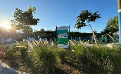 Almirante Brown: Se llevó adelante una jornada de forestación con plantas nativa en Longchamps