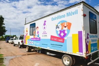Olavarría: El Quirófano Veterinario Móvil continúa recorriendo el distrito