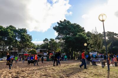 Villa Gesell: Realizarán una jornada de "Desarrollo de la Comunidad en tu barrio" y vacunación en Las Praderas